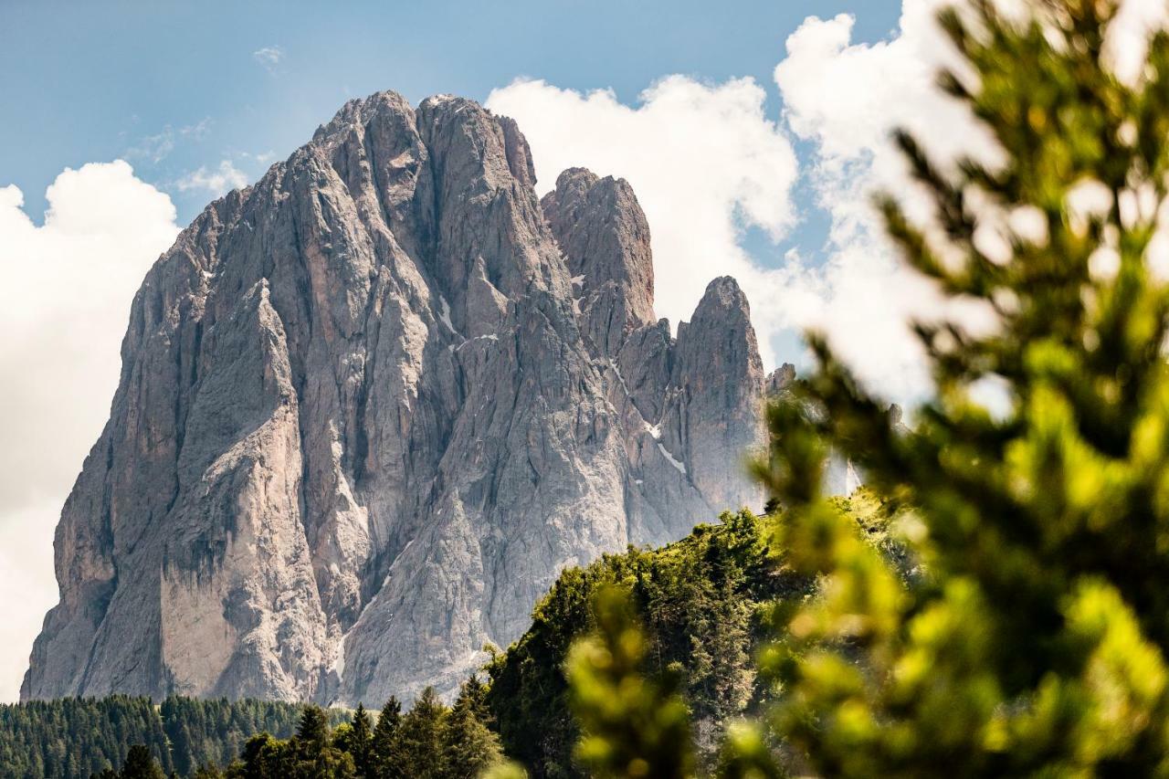 Appartamenti Hetty Santa Cristina Val Gardena Dış mekan fotoğraf